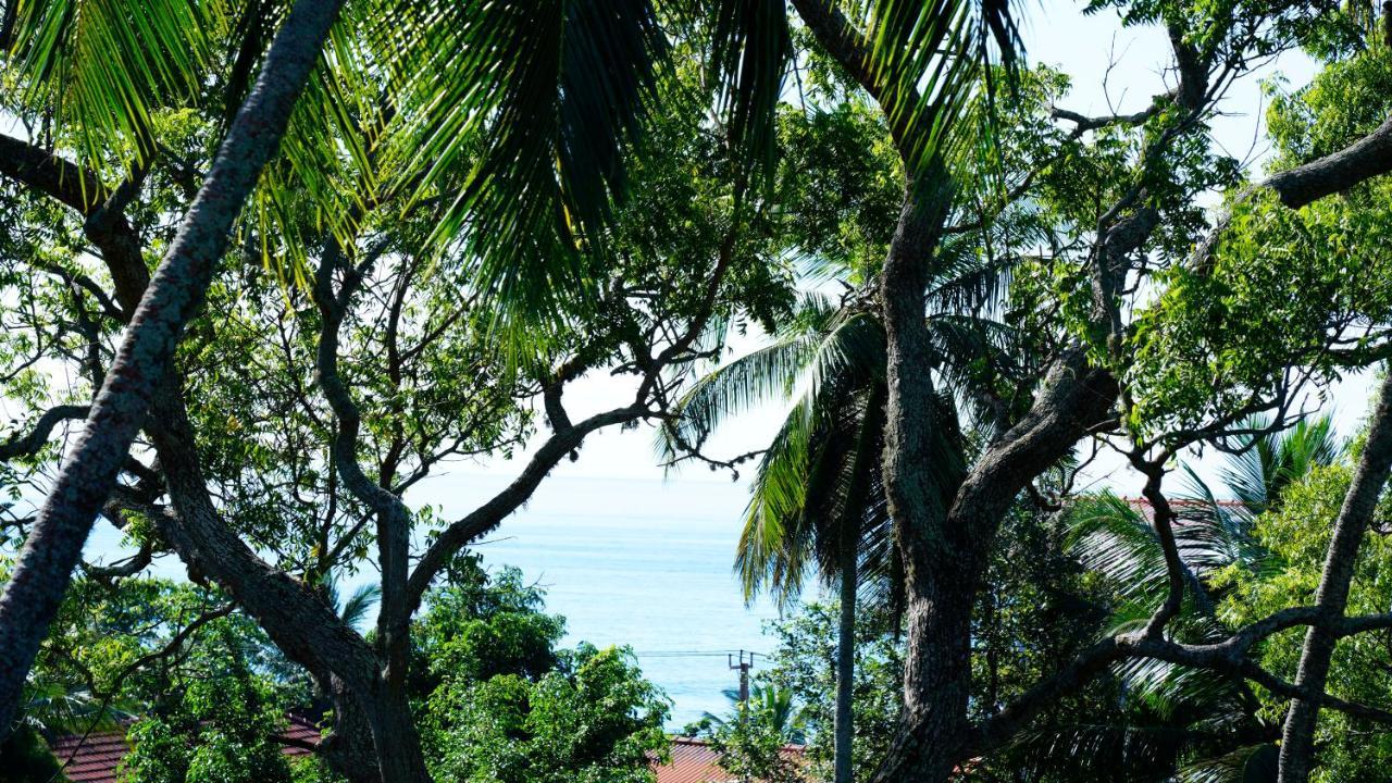 Sea Bay Inn Tangalle Kültér fotó