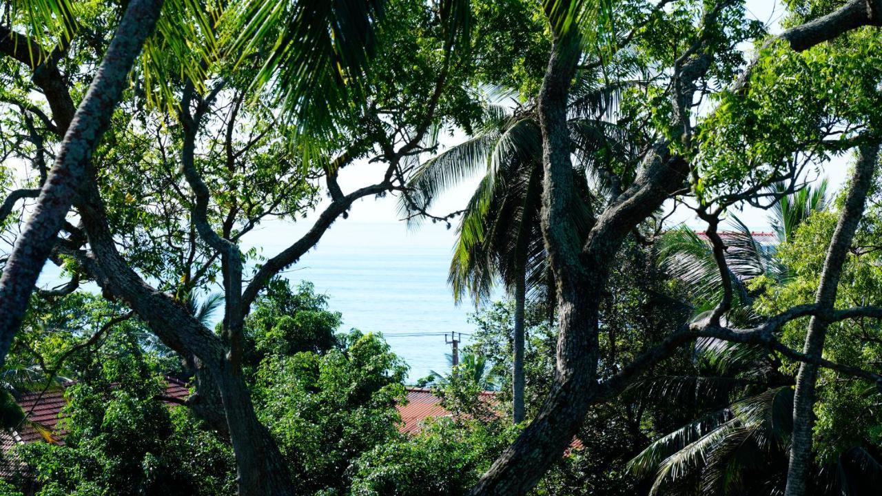 Sea Bay Inn Tangalle Kültér fotó