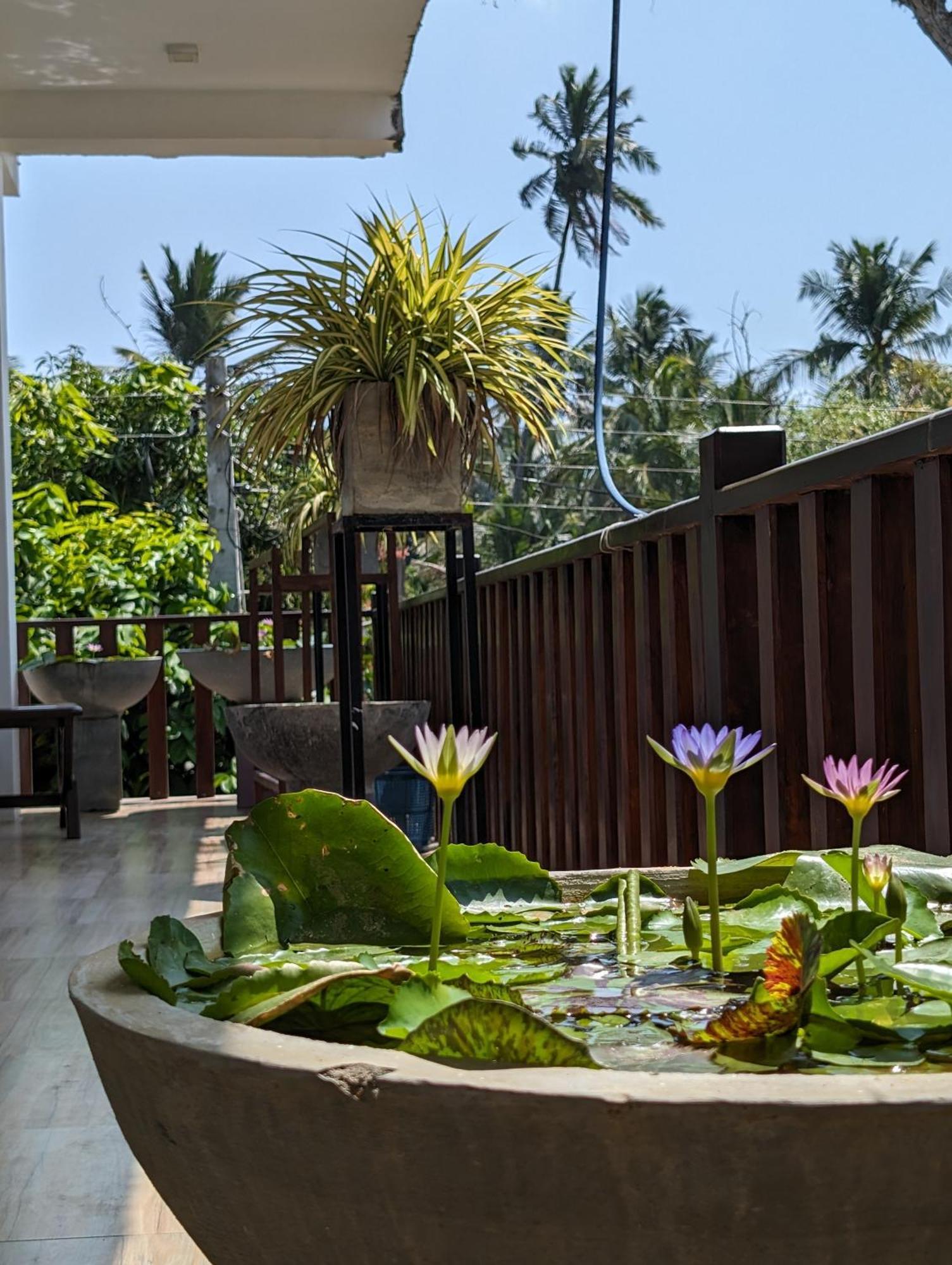 Sea Bay Inn Tangalle Kültér fotó